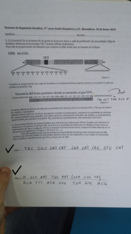Examen-IG-Enero-2014.pdf