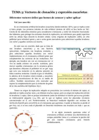 TEMA-5.pdf