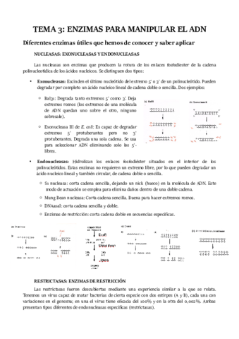 TEMA-3.pdf