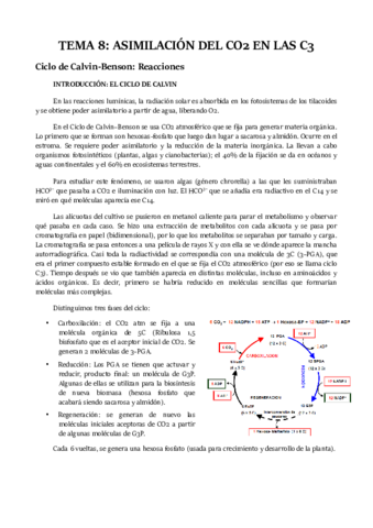 TEMA-8.pdf