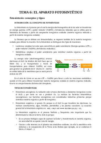 TEMA-6.pdf