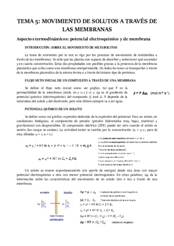 TEMA-5.pdf