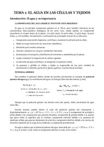 TEMA-1.pdf