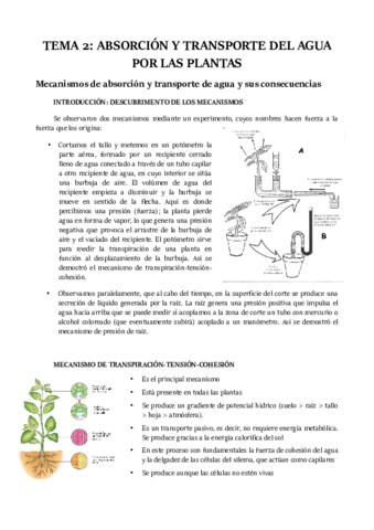 TEMA-2.pdf