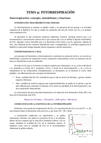 TEMA-9.pdf