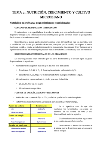 TEMA-2.pdf