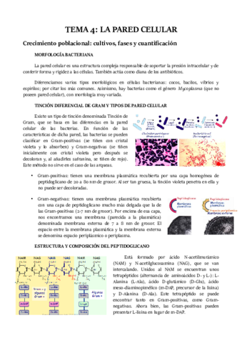 TEMA-4.pdf