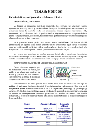 TEMA-8.pdf