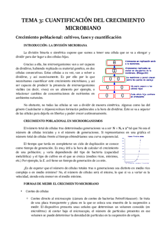 TEMA-3.pdf