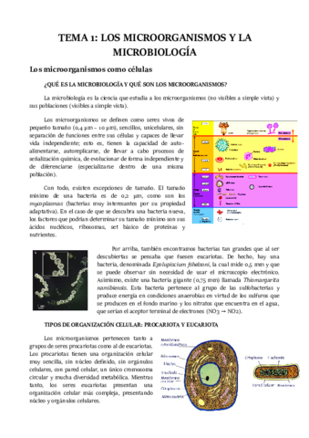 TEMA-1.pdf