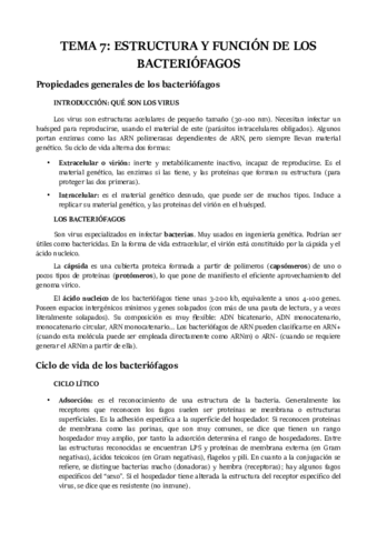 TEMA-7.pdf