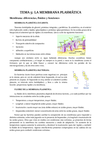 TEMA-5.pdf