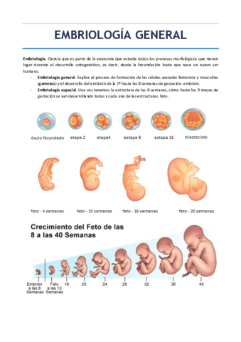 EMBRIOLOGIA-GENERAL.pdf