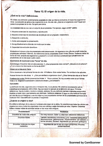 evolucion-segundo-parcial-20171118132457.pdf