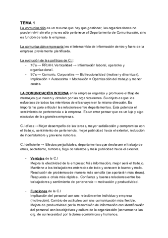 RESUMEN-COMUNICACION-INTERNA.pdf