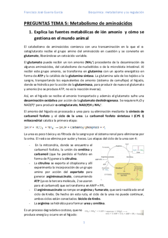 Preguntas-Tema-5.pdf