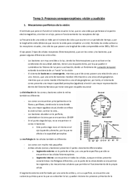 Tema 3a.pdf