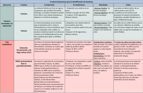 Tabla-pruebas-bioquimicas-con-procedimiento.pdf