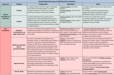 Tabla-pruebas-bioquimicas-sin-procedimiento.pdf