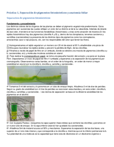 Resumen-Examen-Practicas.pdf