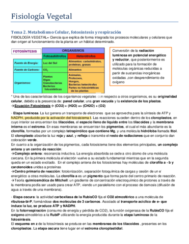 Fisiologia-Vegetal-apuntes-teoria.pdf