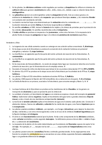 examen-parcial-2019-resuelto.pdf