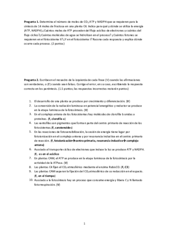 Examen-1-resuelto.pdf