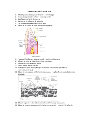 EXAMEN-ENERO-HISTOLOGIA-20200.pdf