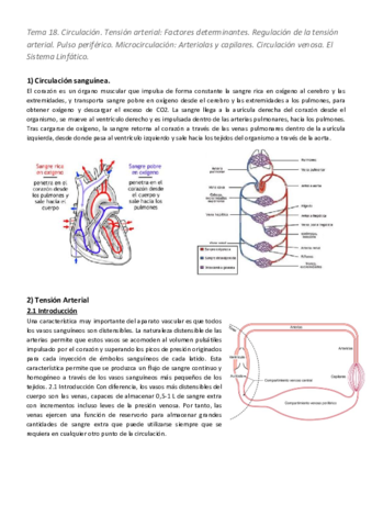 Tema-18.pdf