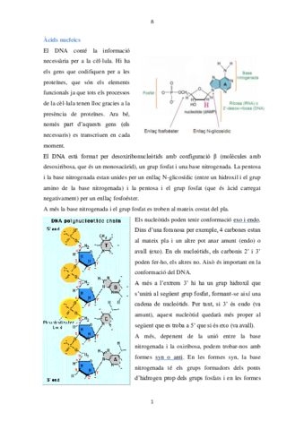 Apunts Bio mol.pdf