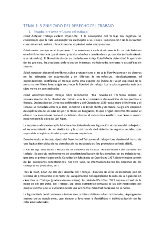 TEMA-1-LABORAL.pdf