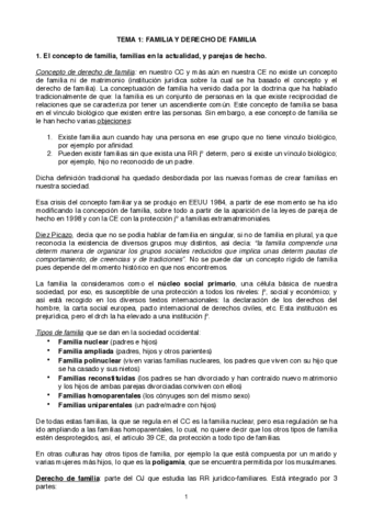 tema-1-CIVIL.pdf