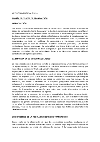 RESUMEN-AEO-TEMA-5.pdf
