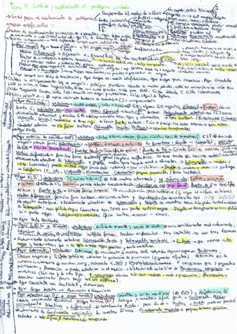 Miniatura del documento Resumen-micro.pdf