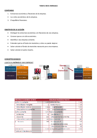 TEMA-0-AEF2.pdf