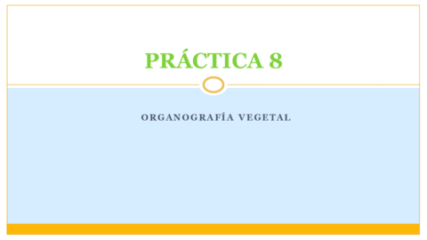 PRACTICA-8.pdf