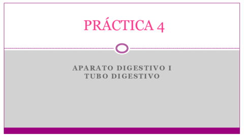 PRACTICA-4.pdf