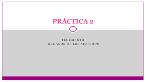 PRACTICA-2.pdf