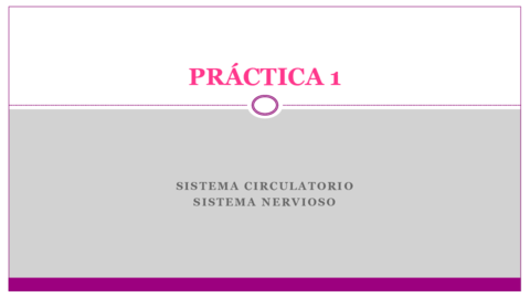 PRACTICA-1.pdf