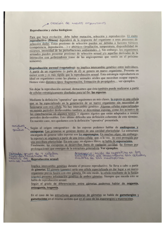 MARC2.pdf