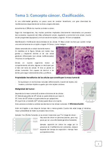 Tema 1-13.pdf