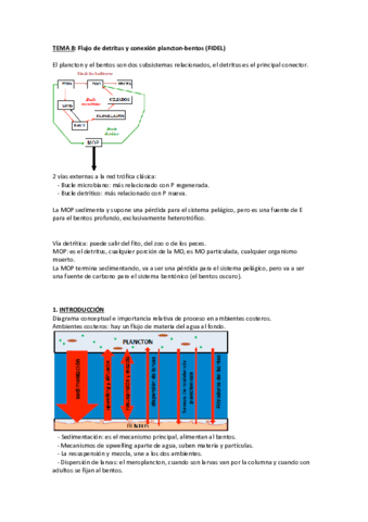 TEMA-8-Flujo-de-detritus-y-conexion-plancton-bentos-Fidel.pdf