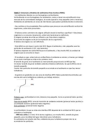 TEMA-7-Estructura-y-dinamica-de-sedimentos-finos-marinos-Fidel.pdf