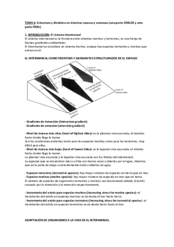 TEMA-6-Estructura-y-dinamica-en-sistemas-rocosos-y-arenosos-parte-Carlos-y-parte-Fidel.pdf