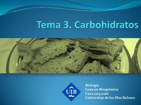 Tema 3 - Carbohidratos 2015.pdf