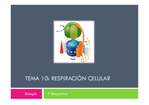 Tema 10- Respiracion celular.pdf
