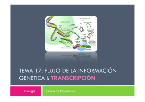 Tema 17 - Flujo de la informacion genetica I-transcripcion.pdf