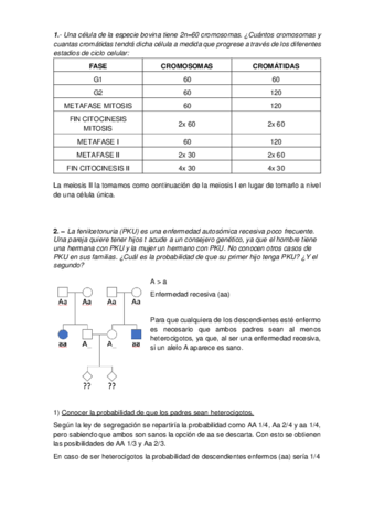 Problema-Genetcia.pdf