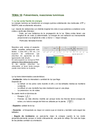Tema-10-FOTOSINTESIS-1.pdf