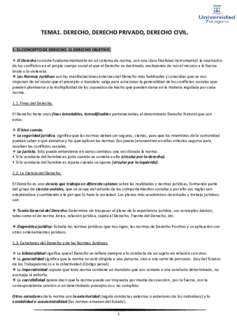 DERECHO-TEMA-1.pdf